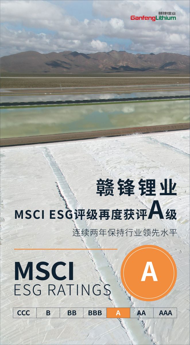 星空官方網(wǎng)頁版