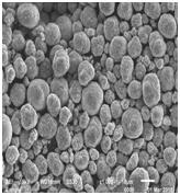星空官方網頁版