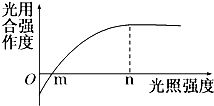如圖為光合作用與光照強度之間關(guān)系的曲線,光照強度在n點時,限制光合作用強度進(jìn)一步升高的主要因素是